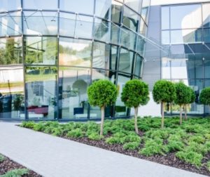 Mokslinių tyrimų centras „Biotechpharma“